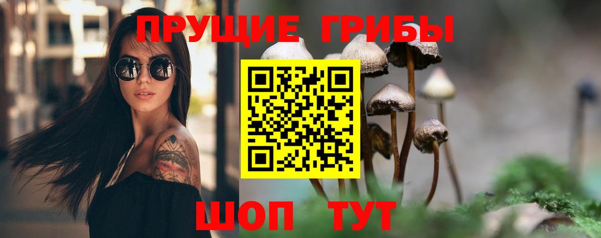Псилоцибиновые грибы Cubensis  Псилоцибиновые грибы Psilocybine cubensis  Вход с VPN  Кунгур 